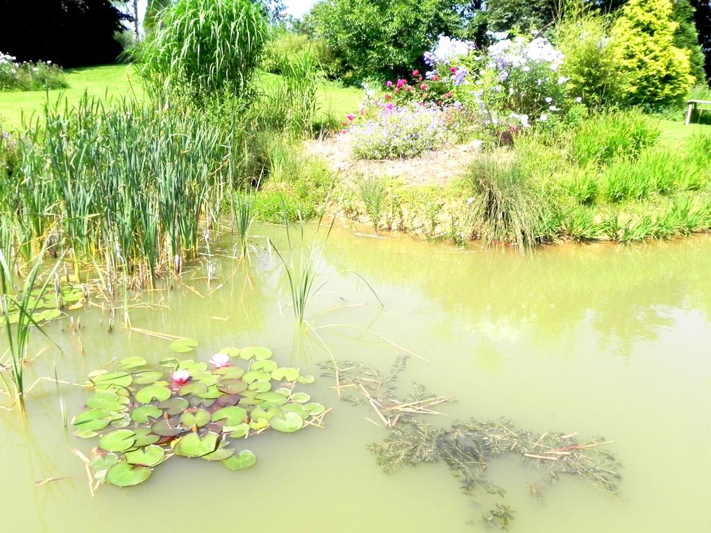 Les Charmilles Bed & Breakfast Hazebrouck Bagian luar foto