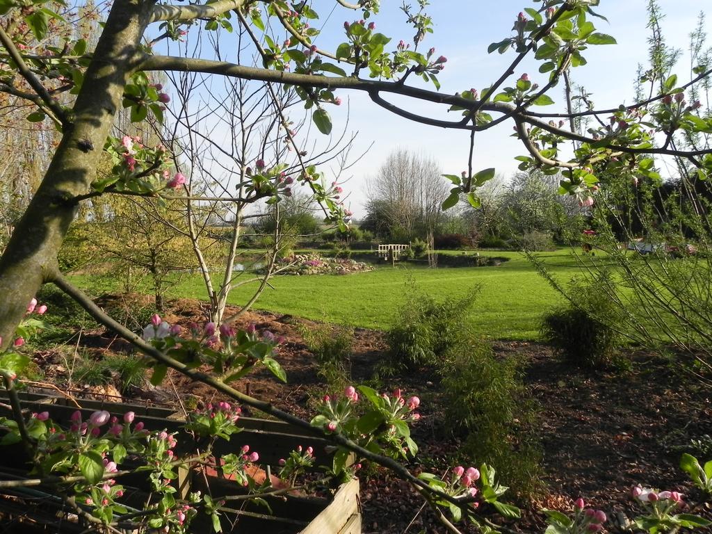 Les Charmilles Bed & Breakfast Hazebrouck Bagian luar foto